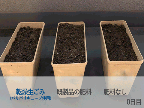 乾燥生ごみ、既製品の肥料、肥料なしの比較